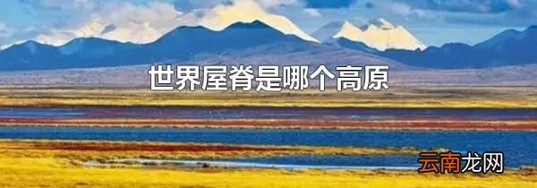 世界屋脊是哪个高原