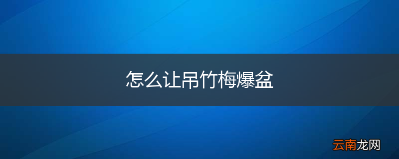 怎么让吊竹梅爆盆