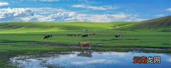 斗牛会是哪个民族的节日 斗牛会是哪个民族的