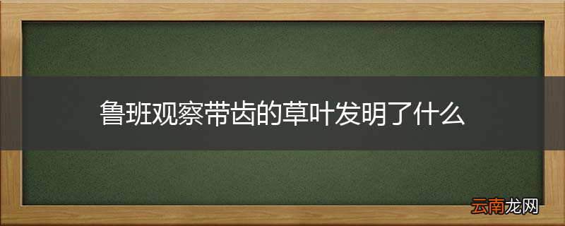 鲁班观察带齿的草叶发明了什么
