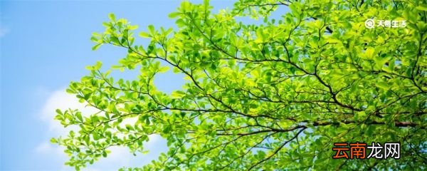 夏天几点天亮 夏天什么时候天亮