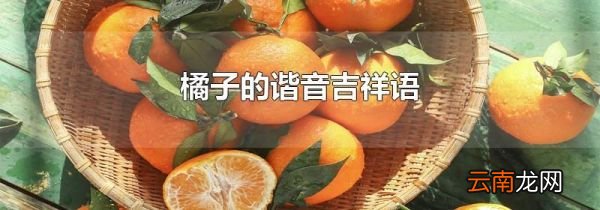 橘子的谐音吉祥语
