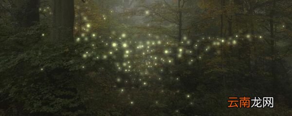 萤火虫给科学家怎样的启示 萤火虫给了科学家什么提示