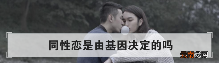 同性恋是由基因决定的吗