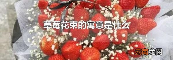 草莓花束的寓意是什么