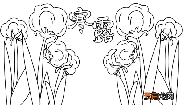 寒露手抄报的图片 寒露的手抄报怎么画