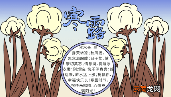 寒露手抄报的图片 寒露的手抄报怎么画