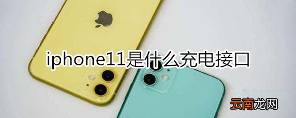 iphone11什么接口