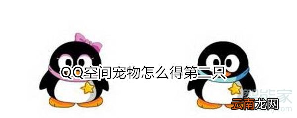 QQ空间宠物怎么得第二只
