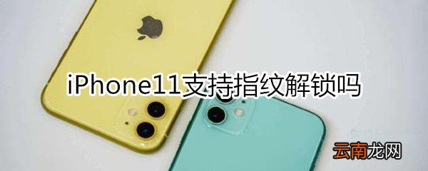 iphone11会出指纹吗