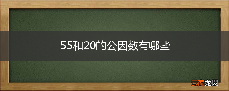 55和20的公因数有哪些
