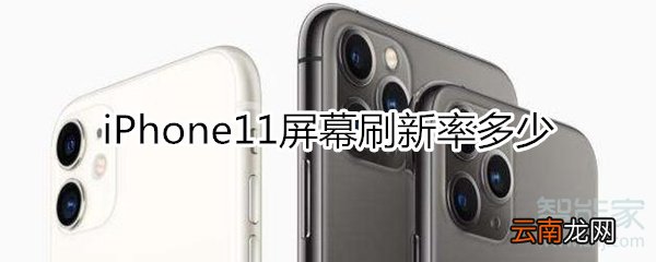 iphone11刷新率
