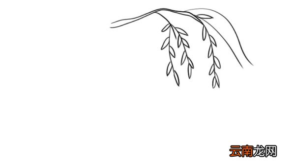 咏柳古诗配画简笔画 咏柳古诗配画简笔画画法