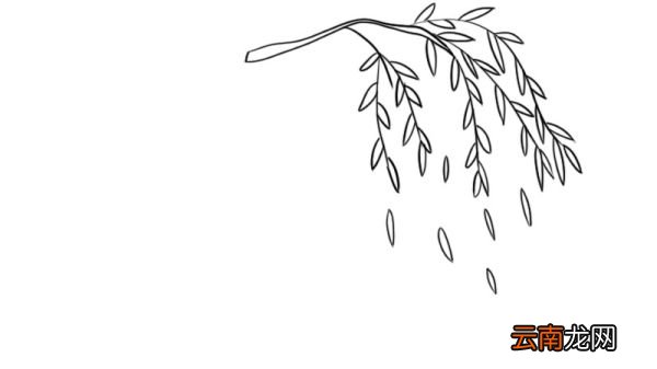 咏柳古诗配画简笔画 咏柳古诗配画简笔画画法