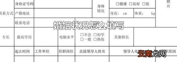 婚姻状况怎么填写