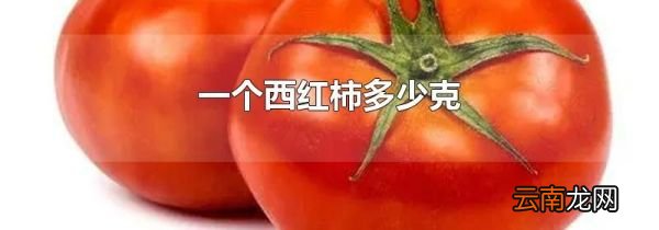 一个西红柿多少克