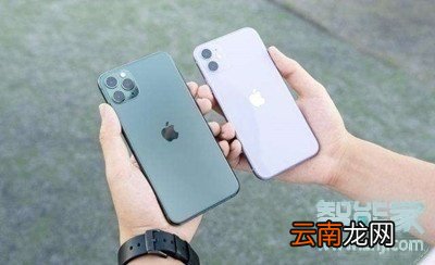 iphone11厚度多少