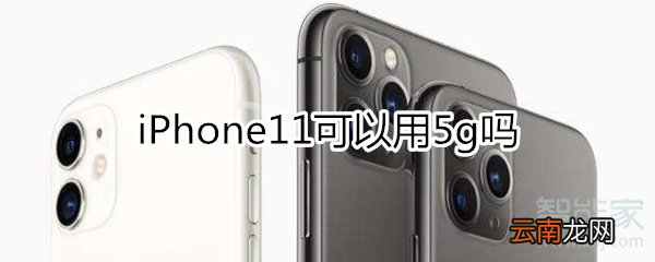 iphone11可以用5g吗