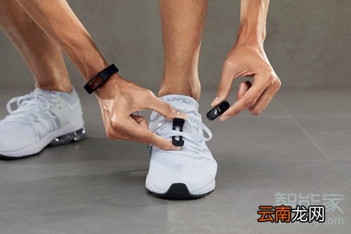 华为手环3e能不能测心率