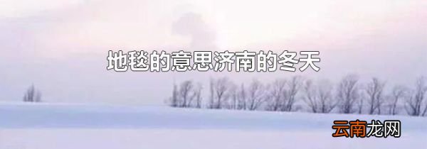 地毯的意思济南的冬天