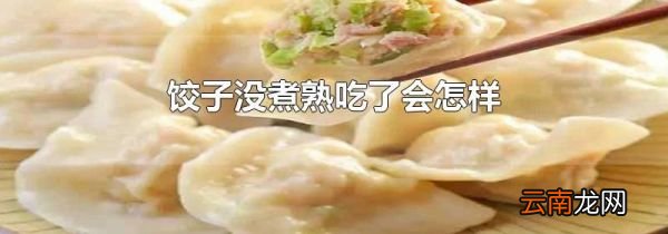 饺子没煮熟吃了会怎样