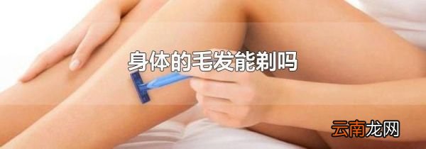 身体的毛发能剃吗