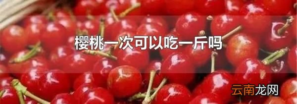樱桃一次可以吃一斤吗