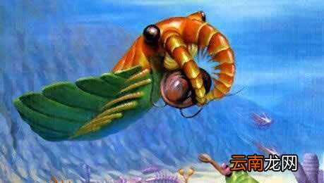 什么是生物的三大界？