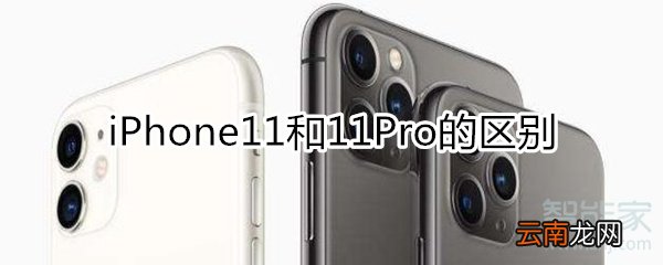iphone11和11pro的区别