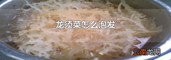龙须菜怎么泡发