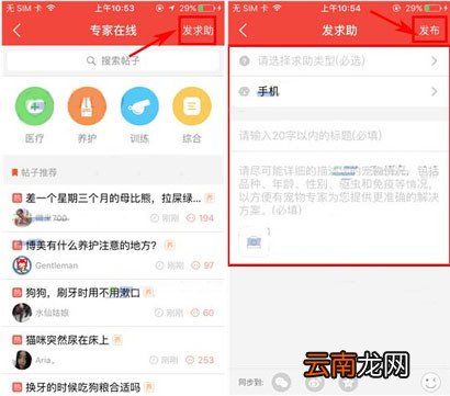 有宠app发布求助的操作过程