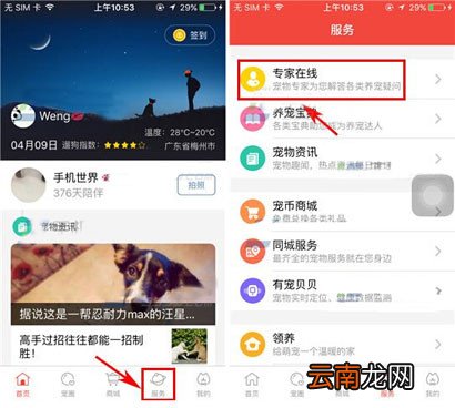 有宠app发布求助的操作过程