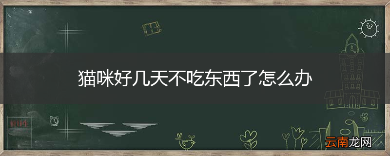 猫咪好几天不吃东西了怎么办