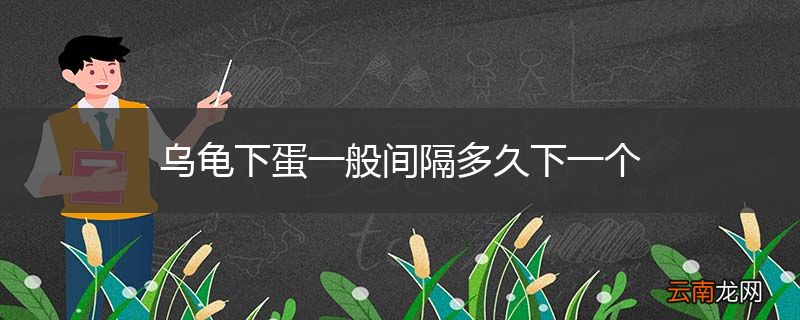 乌龟下蛋一般间隔多久下一个