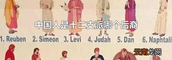 中国人是十二支派哪个后裔