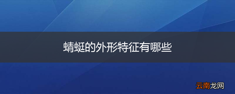 蜻蜓的外形特征有哪些