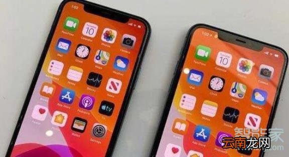 iphone11和xr屏幕一样吗