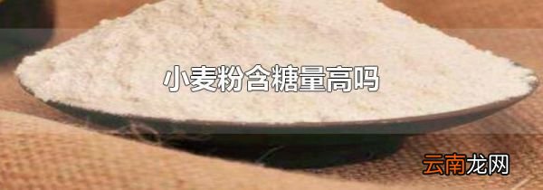 小麦粉含糖量高吗