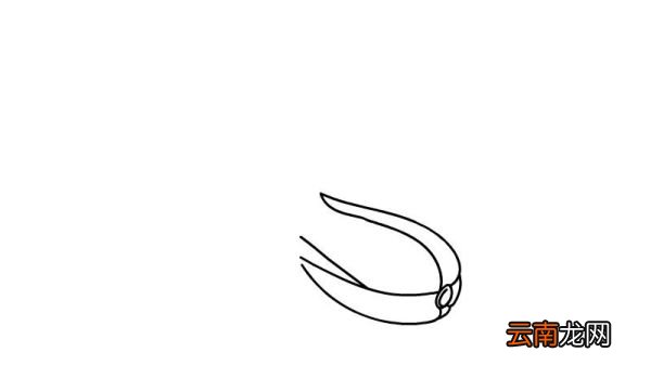 青菜简笔画