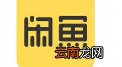闲鱼APP申请解除封禁的简单操作