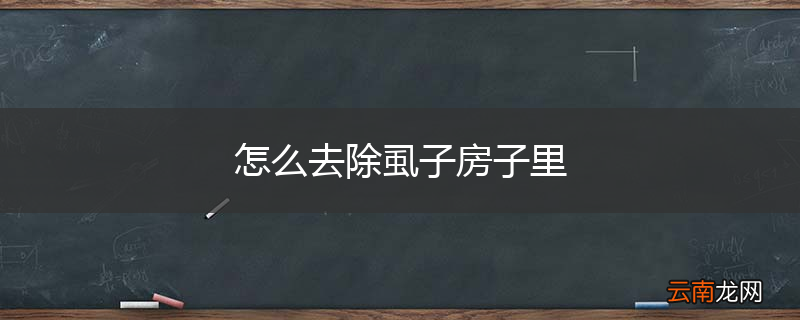 怎么去除虱子房子里