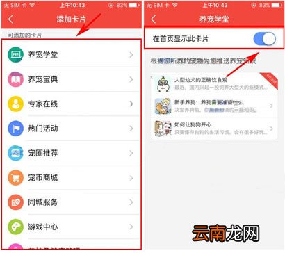 有宠app添加卡片的操作过程