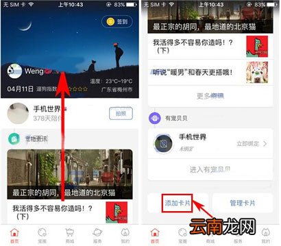 有宠app添加卡片的操作过程