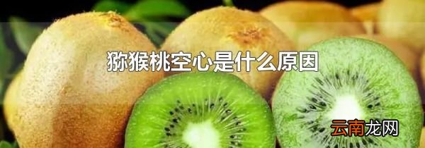 猕猴桃空心是什么原因