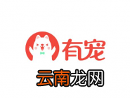 有宠app设置夜间防骚扰模式的操作流程