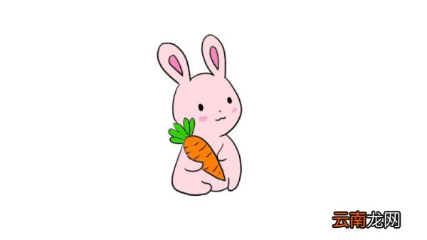 卡通小兔子简笔画图片 小兔子的可爱画法