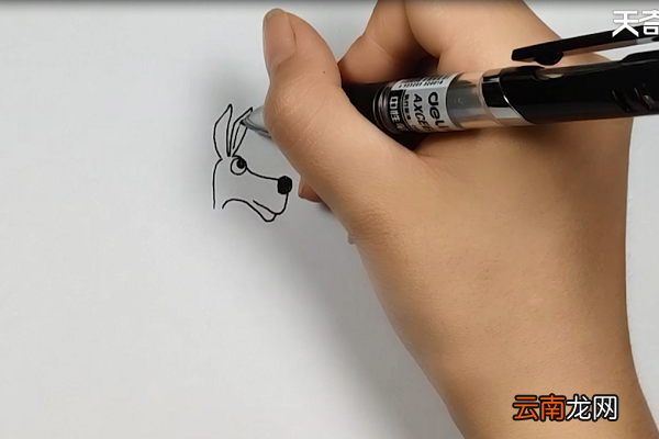 袋鼠简笔画