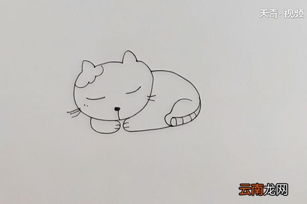 猫咪简笔画