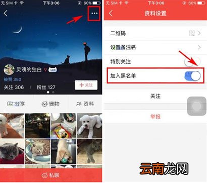 有宠app移除黑名单的基础操作