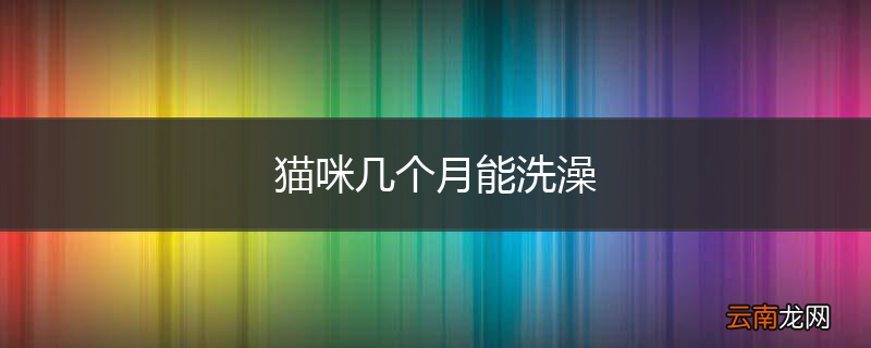 猫咪几个月能洗澡